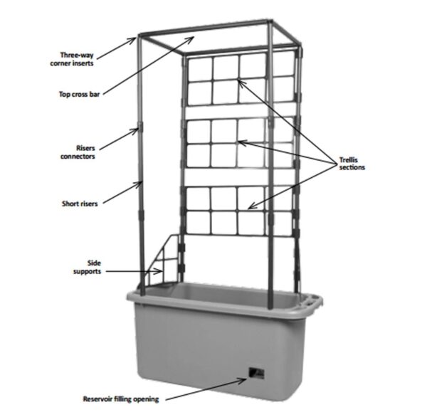 10 Gal Tomato Trellis Self Watering Grow System on Wheels (3 Pack) - Image 5