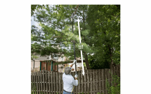 Sun Joe SWJ802E-GRY 8 in. 6.5 Amp Multi-Angle Telescopic Electric Pole Saw, Gray - Image 2