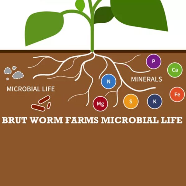 Organic Worm Castings Soil Builder, 30 Pound Bag (10 Pack) - Image 8