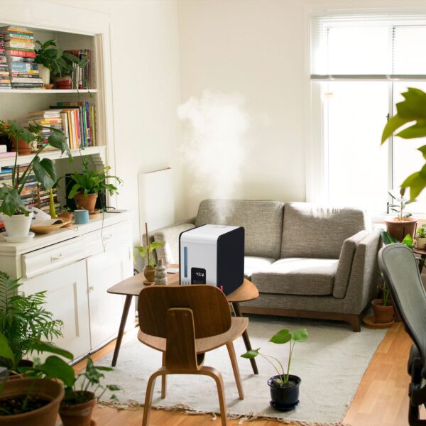 S450 Large Room Steam Humidifier with Hand Warm Mist and Digital Display - Image 8