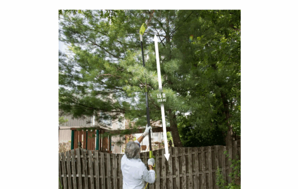 Sun Joe SWJ802E 8 in. 6.5 Amp Multi-Angle Telescopic Electric Pole Saw - Image 3