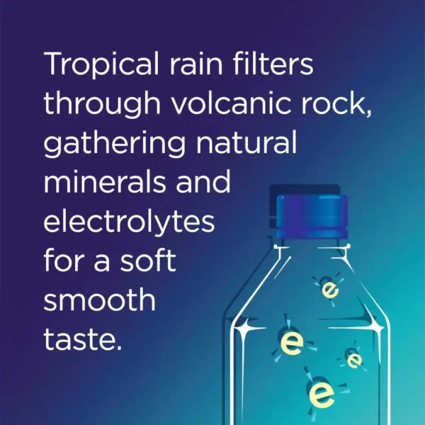 FIJI Natural Artesian Water 50.7 Fl Ounce Bottle (Pack of 12) - Image 7