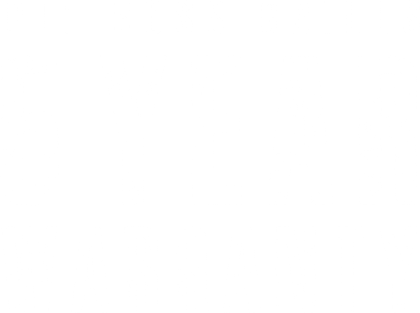 Pit Boss Portable 256-Sq in Black Pellet Grill - Image 14