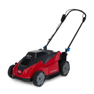 Stripe 60-volt Max 21-in Cordless Push Lawn Mower 4 Ah (1 Batteries and Charger Included)