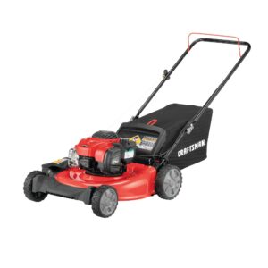 CMXGMAM1125499 M110 140-cc 21-in Push Gas Lawn Mower with Briggs   Stratton Engine