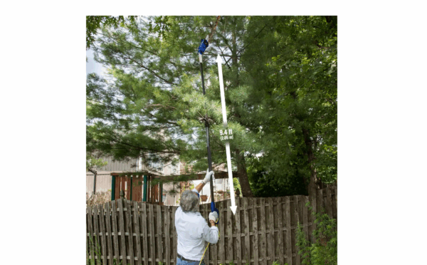 Sun Joe SWJ802E-SJB 8 in. 6.5 Amp Multi-Angle Telescopic Electric Pole Saw, Blue - Image 13