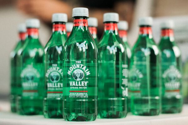 Mountain Valley Spring Water 500 ML Spring Water in Plastic - Image 2