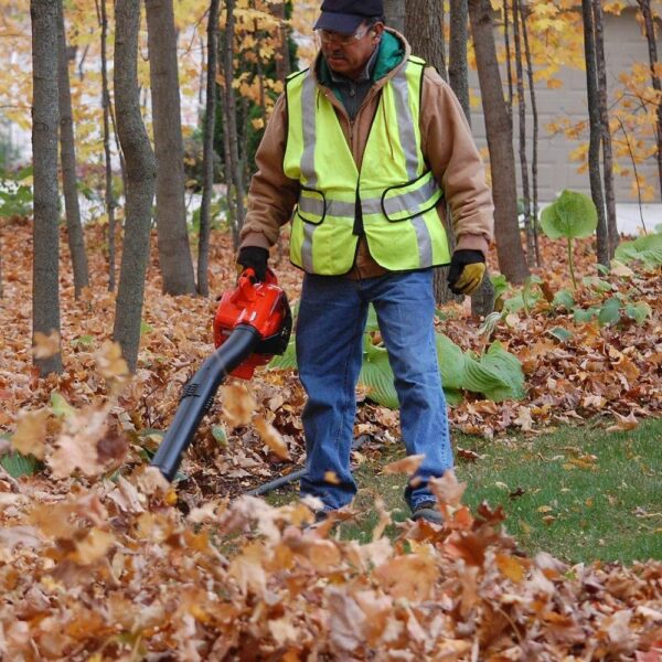 PB-2520 170 MPH 453 CFM 25.4 cc Gas 2-Stroke Cycle Handheld Leaf Blower - Image 2