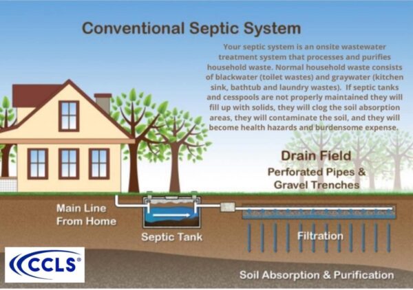 ccls Septic Tank and Cesspool Treatment Additive/Organic Enzyme Producing Bacteria/Non-Toxic/Non-Hazardous/Non-Corrosive (4-Pack) - Image 3