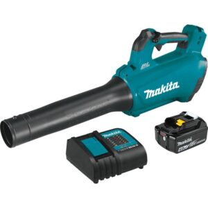 XBU03SM1 116 MPH 459 CFM 18-Volt LXT Lithium-Ion Brushless Cordless Blower Kit
